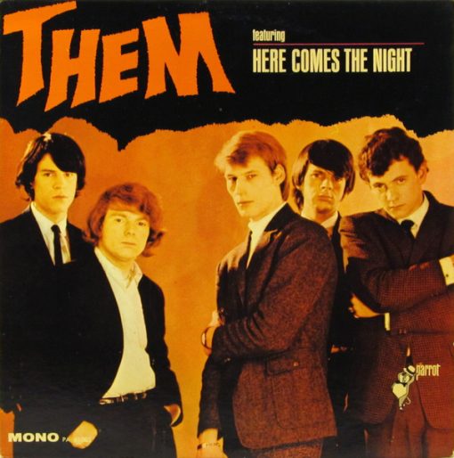 Them (3) - Here Comes The Night LP NM or M- 1965 [Genre] NM/M MONO '65 Rare Hype Sticker Ultrasonic Cleaned V: NM/M C: EX/NM // Contains rare hype sticker: featuring GLORIA HERE COMES THE NIGHT sometimes seen on the Stereo Versions. The only one sold in the last 15 years is this one: https://www.popsike.com/Them-Here-Comes-The-Night-Parrot-PA-61005-MONO-Vintage-LP-Vinyl-Record-Album/353258402176.html // This listing uses a stock photo. You will receive the exact pressing that the stock photo shows.