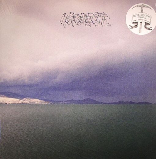 Modest Mouse - The Fruit That Ate Itself 12" M M 15 Apr 2014 Glacial Pace Rock Indie Rock SEALED = From the private collection of famed record producer Tucker Martine who’s worked with My Morning Jacket, Bill Frisell, The Decemberists, Sufjan Stevens, Modest Mouse to name a few. / Ultrasonic Cleaned on Kirmuss machine for superior audio and sonics!!!